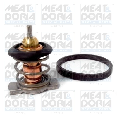 Thermostat, coolant